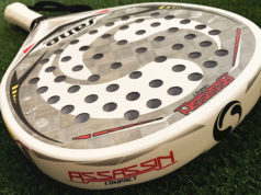 Análisis de la pala SANE ASSASSIN COMPACT