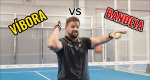 Diferencias entre víbora y bandeja